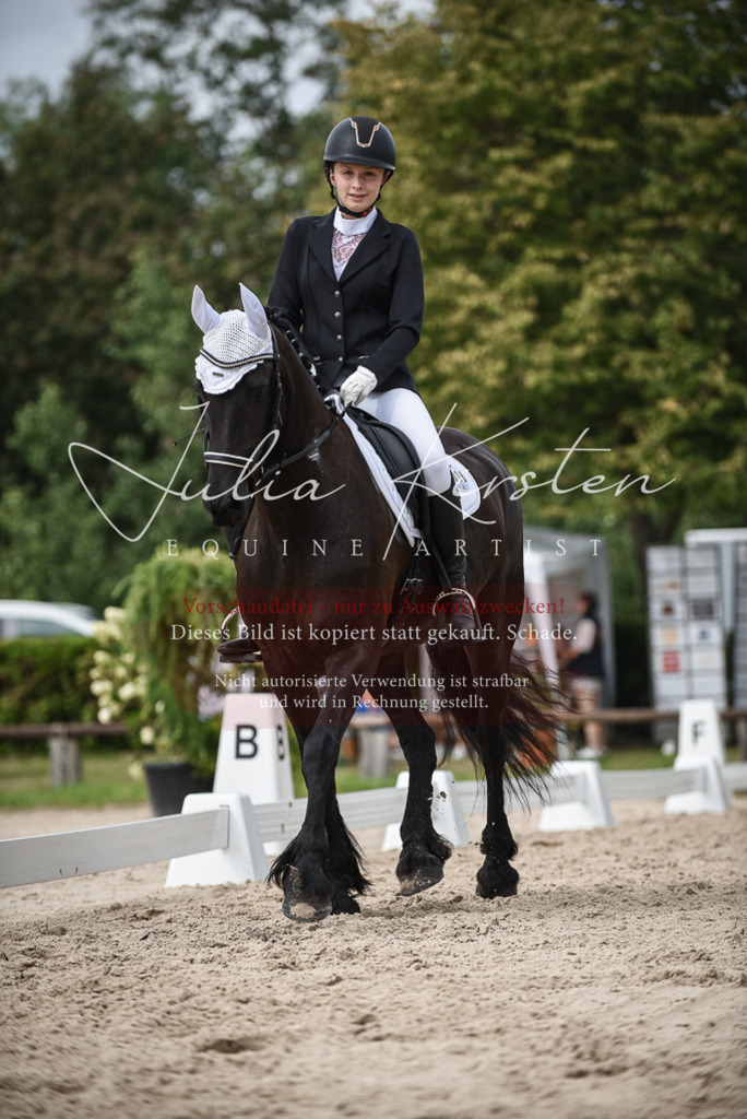 DSC_8603 | Pferde- und Turnierfotografie in Westsachsen. Pferdeportraits, Auftragszeichnungen und intuitive Kunst.