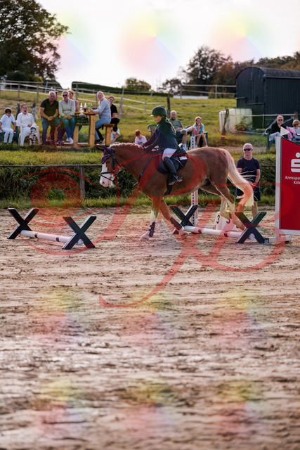 2026_10_03_Siefer-Hof_144453_Z81_19274004 | Professionelle Reitsport-, Turnier- und Eventfotografie von Robert Broda. Galerien mit ausgewählten und bearbeiteten Bildern direkt online ansehen und bestellen.