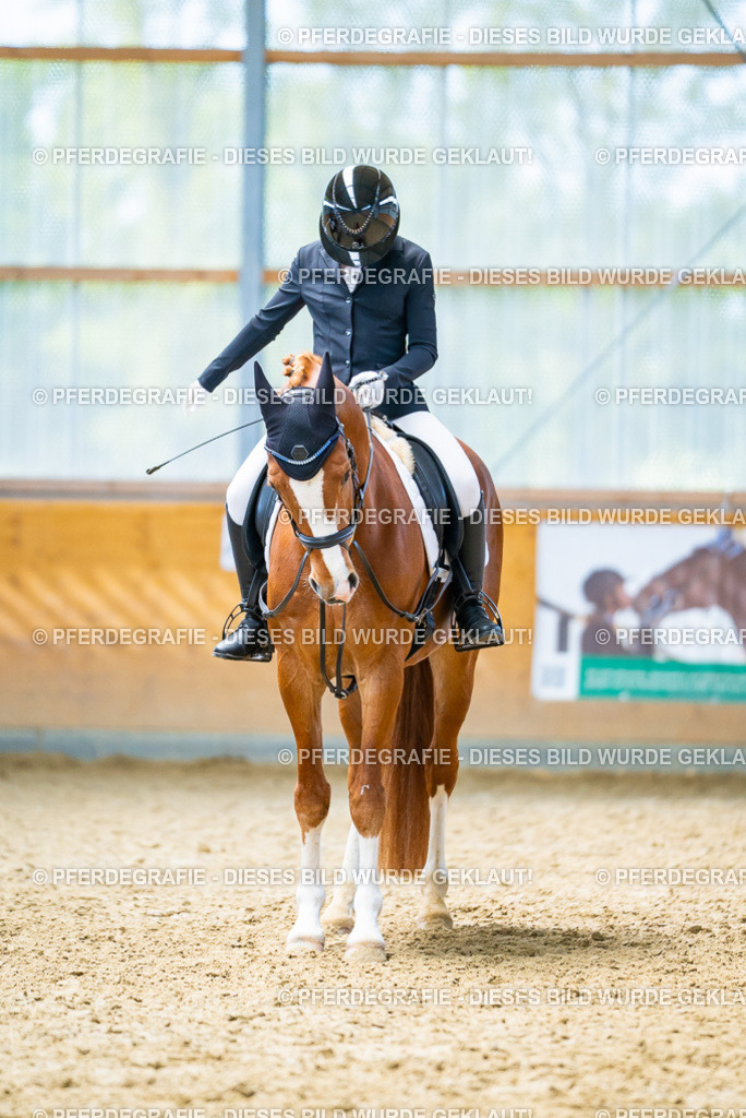 DSC09679 | Pferdegrafie