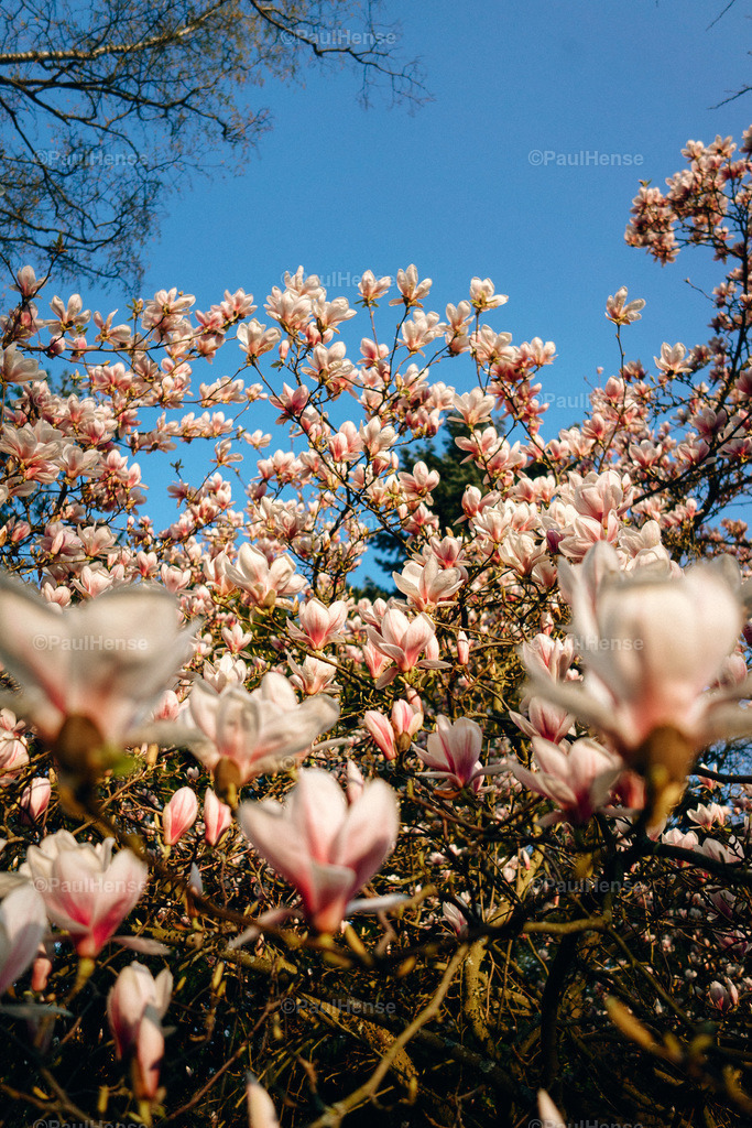 20220324_PaulHense_S0056_DSC03568 | paulhense - Realisiert mit Pictrs.com