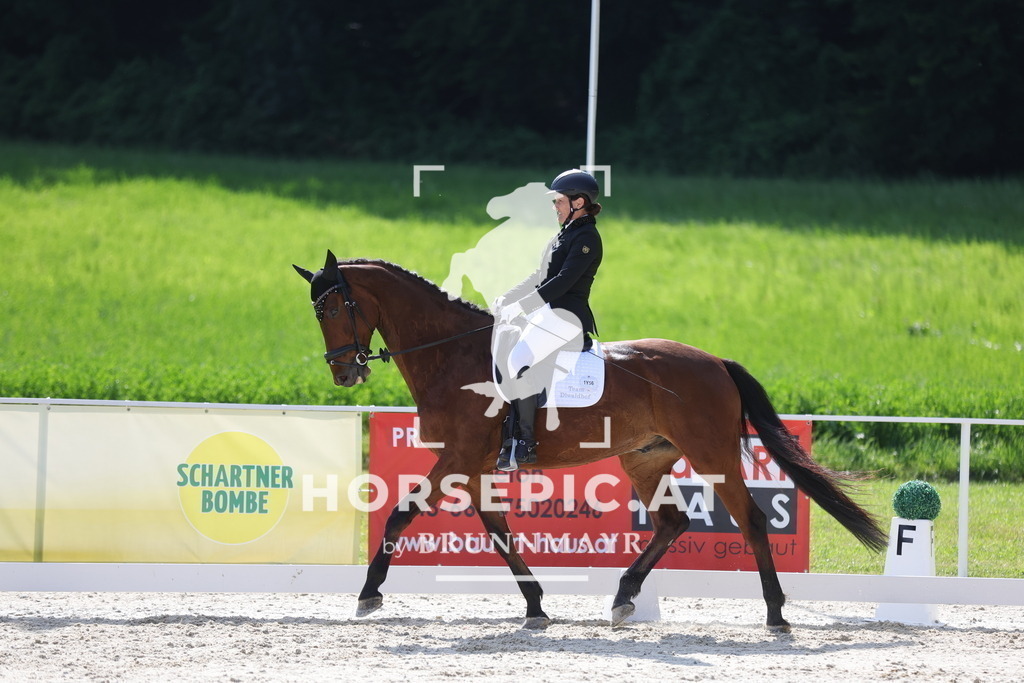 0P6A2397 | Willkommen bei Brunnmayr - Design & Fotografie – Ihrem Spezialisten für Reitturniere und Pferdeveranstaltungen in Oberösterreich, Salzburg und Bayern! Seit über 17 Jahren sind wir leidenschaftlich dabei.