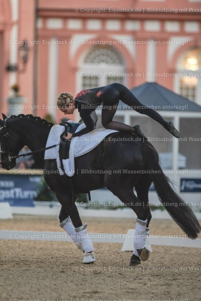 20230527_Voltigieren_NASPA_Flutlicht_0233 | equistock