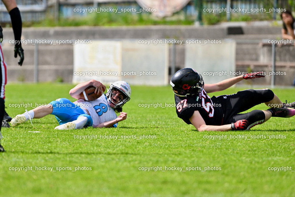 Carinthian Lions vs. Styrian Bears | Carinthian Lions vs. Styrian Bears, Carinthian Lions vs. Styrian Bears am 20.05.2024 in Klagenfurt (ASV Sportplatz), Austria, (Photo by Bernd Stefan)