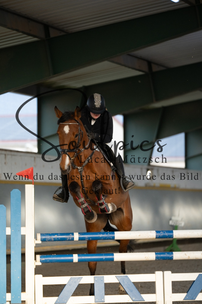 A7V07548 | Pferdefotograf