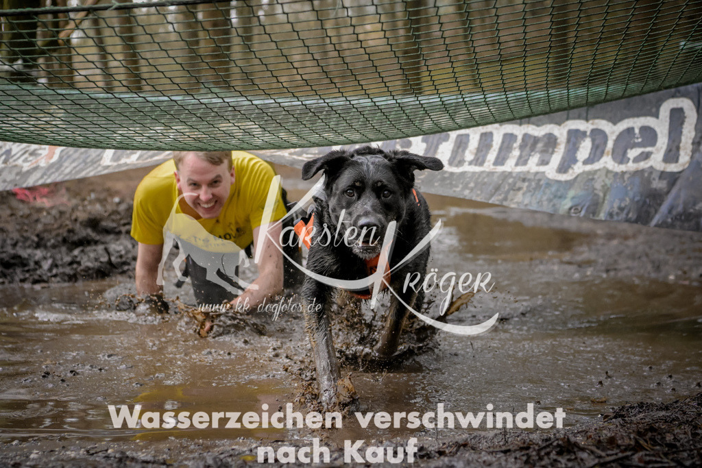 0956_ZZ98870 | kk-dogfotos