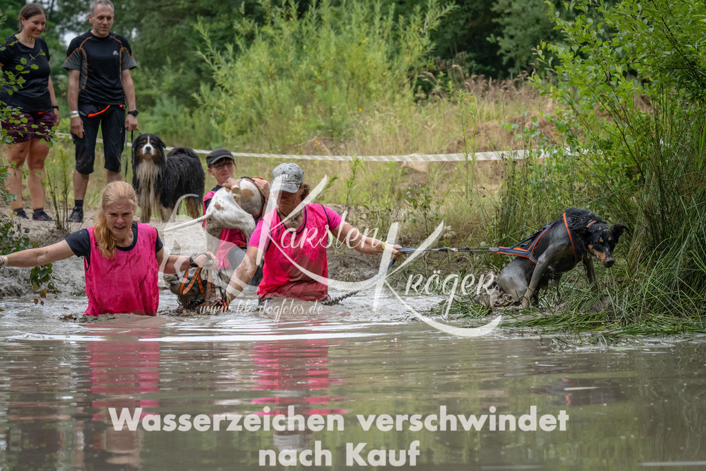 1340_ZZ91576 | kk-dogfotos