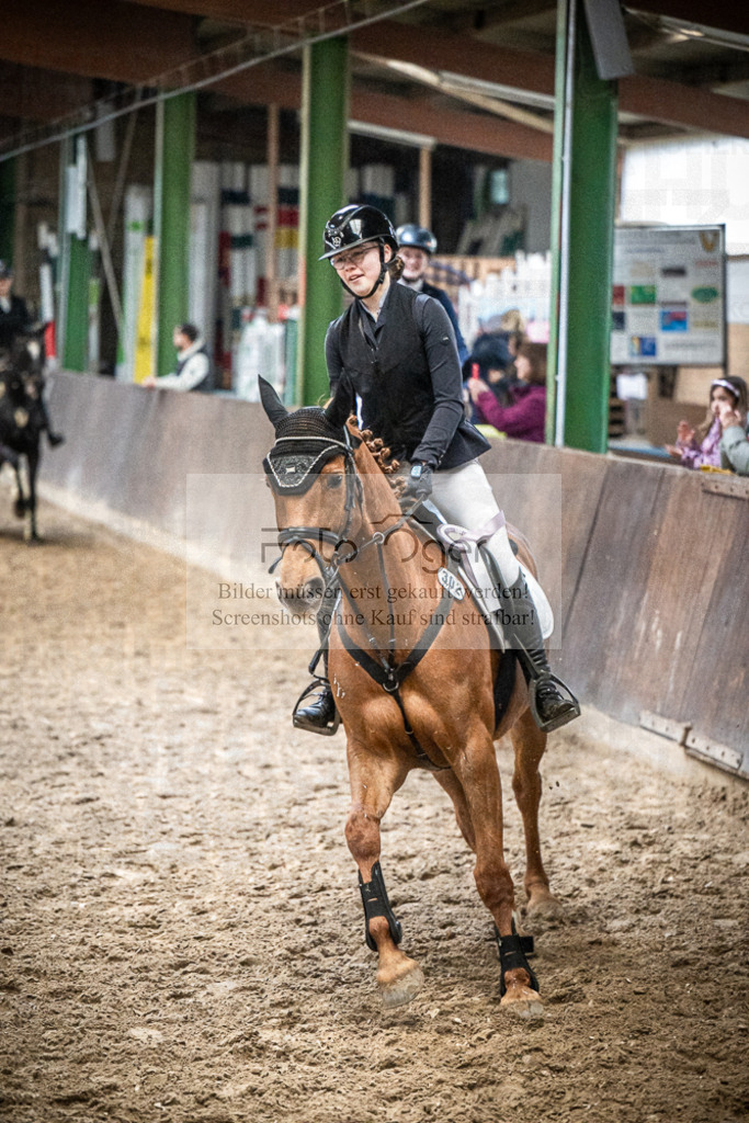 DOS_0080 | Entdecke hochwertige Reitturnierfotos von Foto Oger. Professionell, emotional und authentisch – jetzt Lieblingsmomente im Shop bestellen.Deutschlandweite Turnierfotografie. - Realisiert mit Pictrs.com