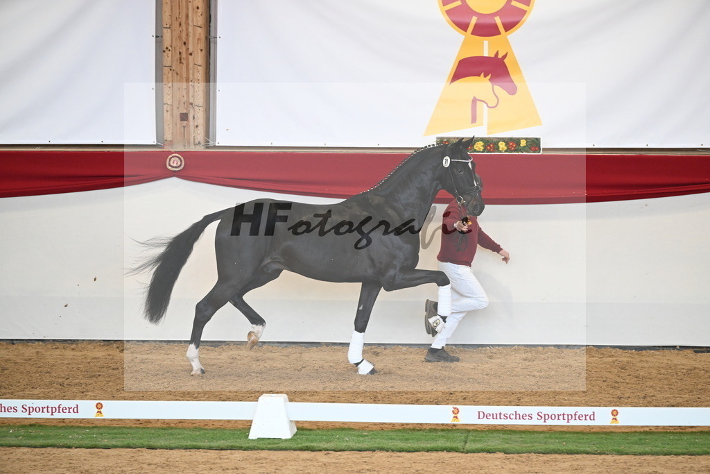 Kat.-Nr. 71 v. Jameson RS2_Greim_2250585 | hf-fotografie - Realisiert mit Pictrs.com