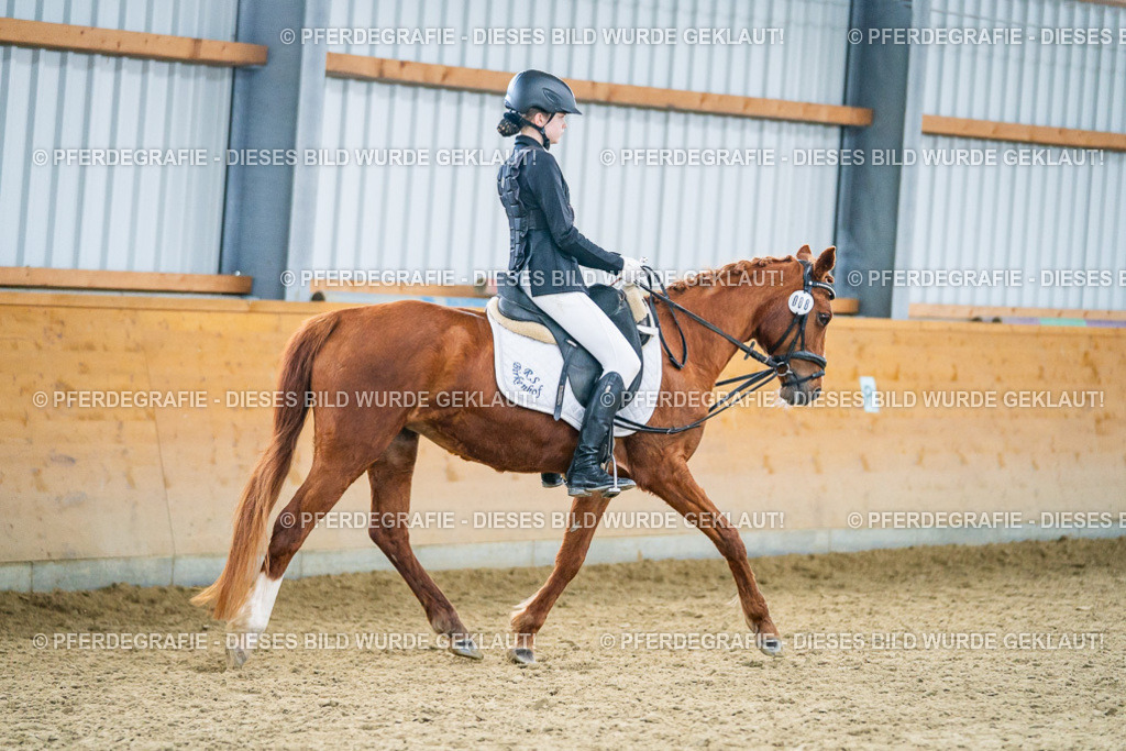 DSC04860 | Pferdegrafie