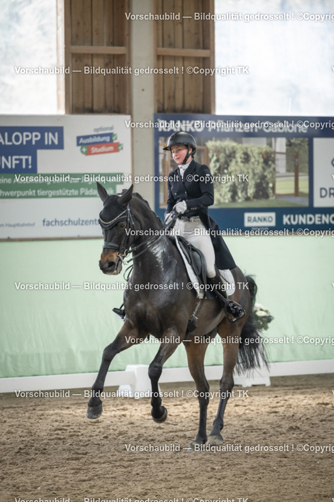 _D5A5250 | Emotionale Pferde- & People-Fotografie rund um Heidelberg, Leimen & Umgebung. Natürliche Fotos von Pferd, Mensch & Familie. Jetzt Termin sichern!