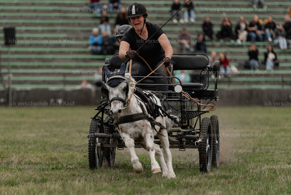 Showprogramm-509 | working equitationturnier fotograf videograf stoibphotography marixx film working equitation deutschland reitsport turnierfotografie eventfotografie equestrian events