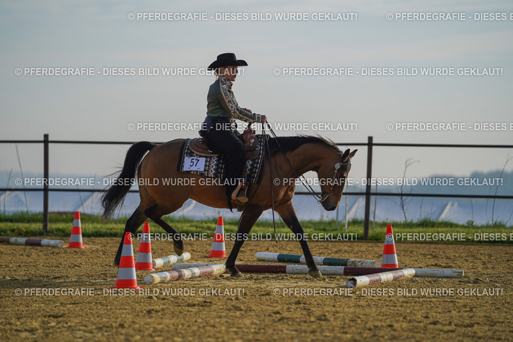 DSC00512 | Pferdegrafie