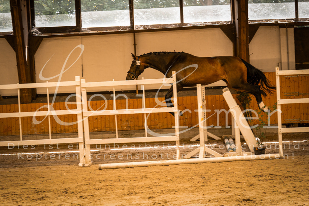 FrFS00001 | Leoni Ertmer Photography - Realisiert mit Pictrs.com