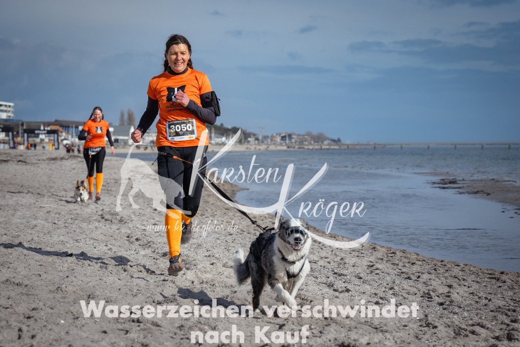 1246_ZZ98682 | kk-dogfotos