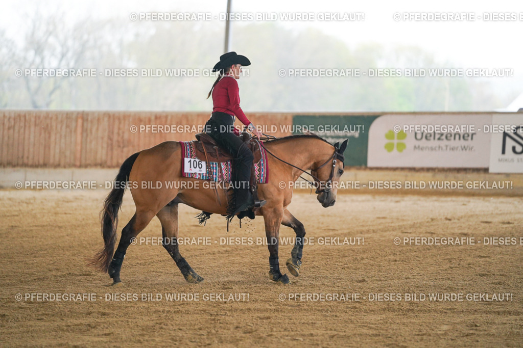 DSC08528 | Pferdegrafie