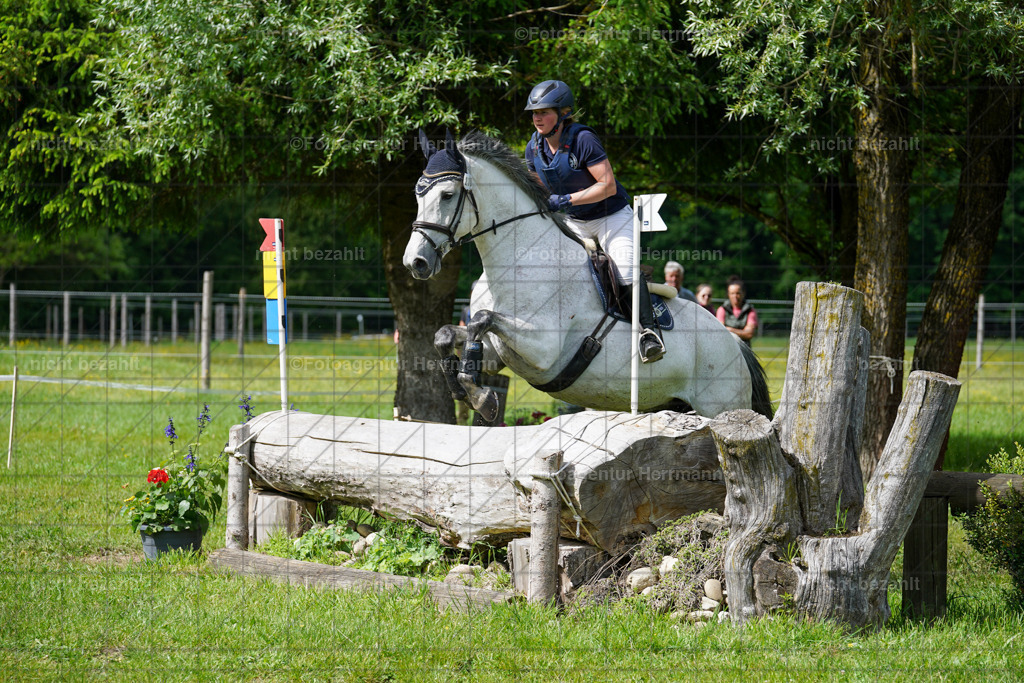 20240518-FAH03747 | Turnierbilder von Niederseon, Turnierfotografen Bayern, Fotoagentur Herrmann, Geländebilder, Reitsportfotografie