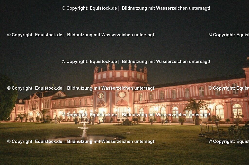 20230527_Voltigieren_NASPA_Flutlicht_1245 | equistock