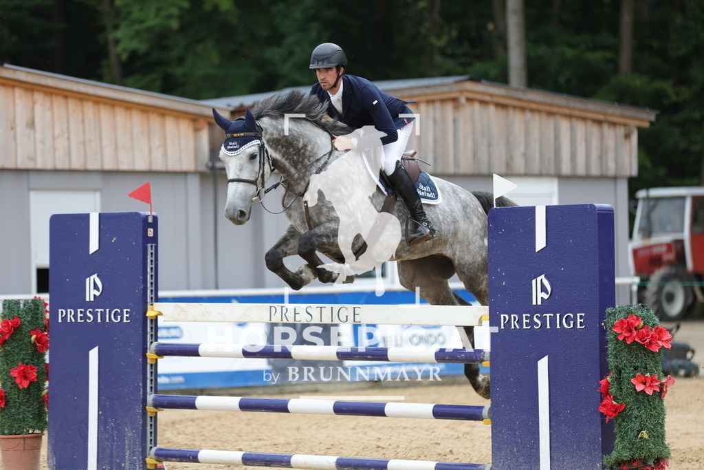 0P6A6366 | Willkommen bei Brunnmayr - Design & Fotografie – Ihrem Spezialisten für Reitturniere und Pferdeveranstaltungen in Oberösterreich, Salzburg und Bayern! Seit über 17 Jahren sind wir leidenschaftlich dabei.