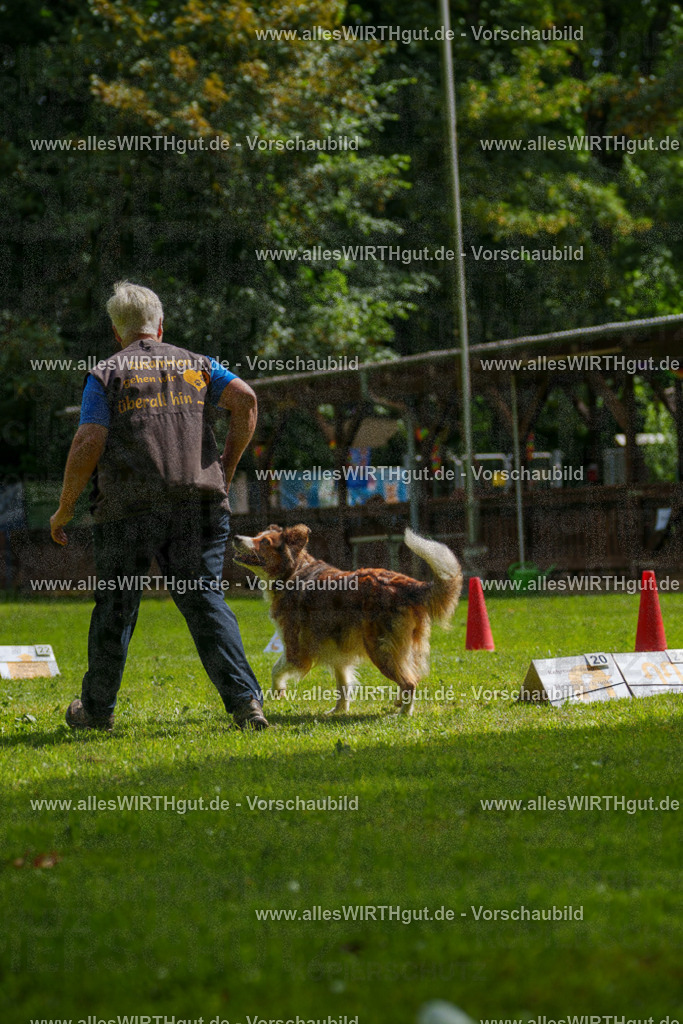 @allesWIRTHgut_Tierfotografie - www.allesWIRTHgut.de - 100805-7R508100 | Professionelle Tierfotografie in Mönchengladbach von Daniel Wirth (allesWIRTHgut). Liebevolle & natürliche Bilder von Hunden & Katzen für unvergessliche Erinnerungen.