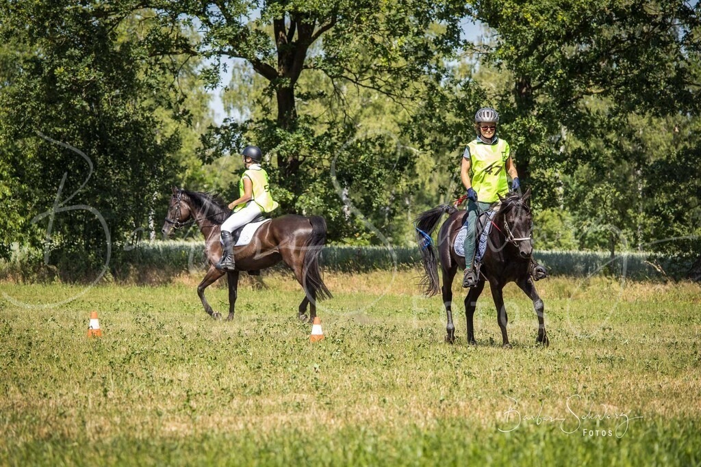 CJP_2026-06-26_187 | Stimmungsvolle Fotografie von Pferden, fotografische Begleitung von Veranstaltungen, Golfturnieren und Distanzritten - Realisiert mit Pictrs.com