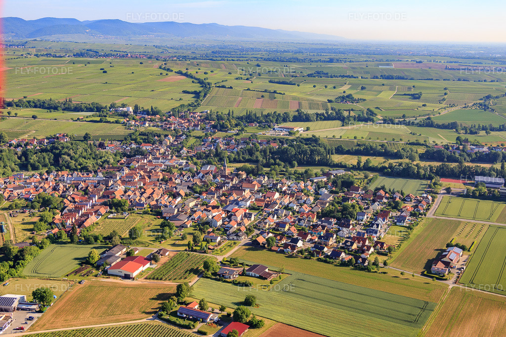 Luftbild: Ortsansicht von Südosten im Ortsteil Ingenheim in Billigheim-Ingenheim im Bundesland Rheinland-Pfalz in Deutschland. Foto: IMG_080109.jpg vom 05.06.2015 durch Werner Riehm/FLY-FOTO.de
