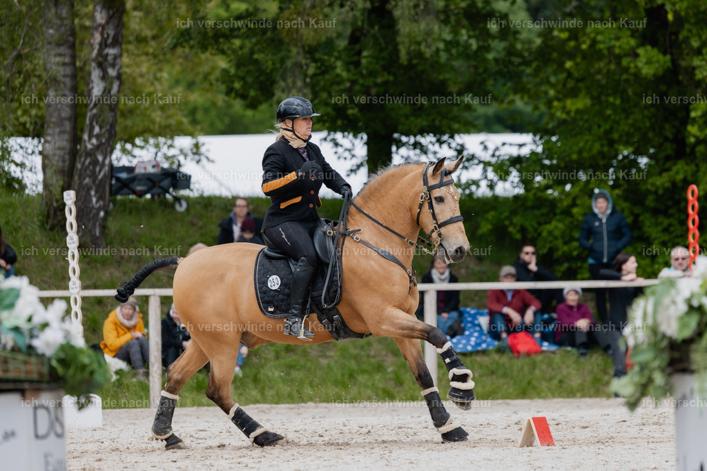 PI26_SP_StoibphotographyC2_C1575.jpg | working equitationturnier fotograf videograf stoibphotography marixx film working equitation deutschland reitsport turnierfotografie eventfotografie equestrian events
