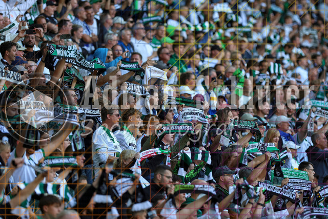 Borussia Mönchengladbach vs Hamburger SV - Bundesliga  | Mönchengladbach, Deutschland, 24.08.25:   die Fans von Borussia Mönchengladbach mit Schalswaehrend des Spiels der Bundesliga zwischen Borussia Mönchengladbach vs Hamburger SV im Stadion im Borussia Park(Foto von Brauer-Fotoagentur / Adrian Schlueter)