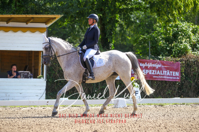 DKP42834 | Turniersportfotografie; Pferdefotografie; Dressurfotografie