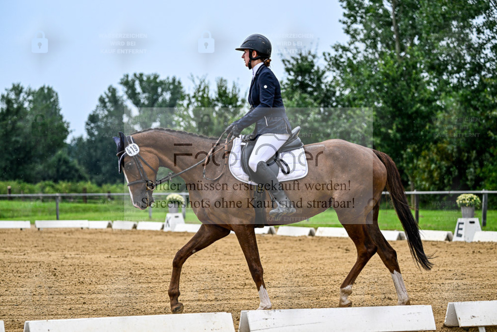 Reitturnier Hasbergen | Entdecke hochwertige Reitturnierfotos von Foto Oger. Professionell, emotional und authentisch – jetzt Lieblingsmomente im Shop bestellen. - Realisiert mit Pictrs.com