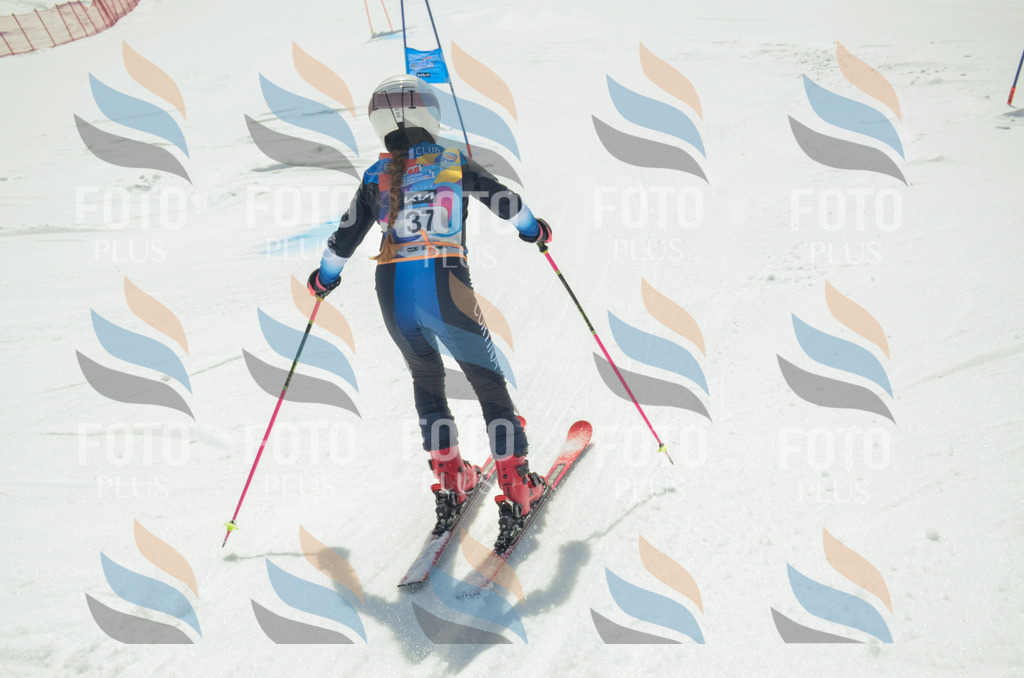 _ELE4977 | holidayphoto