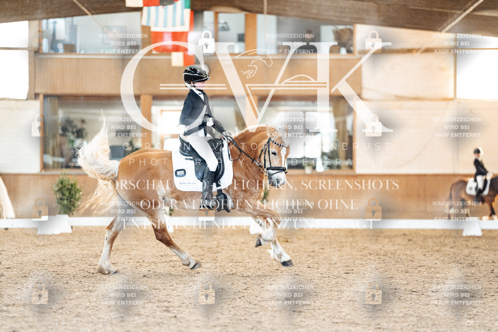 CK907406 | Turnierfotografie Pferdefotografie Trier Rheinland-Pfalz Pferdesport Reitsport Tierfotografie Sportfotografie Pferdevideo Pferdevideografie Equestrianvideography equestrianphotography  - Realisiert mit Pictrs.com