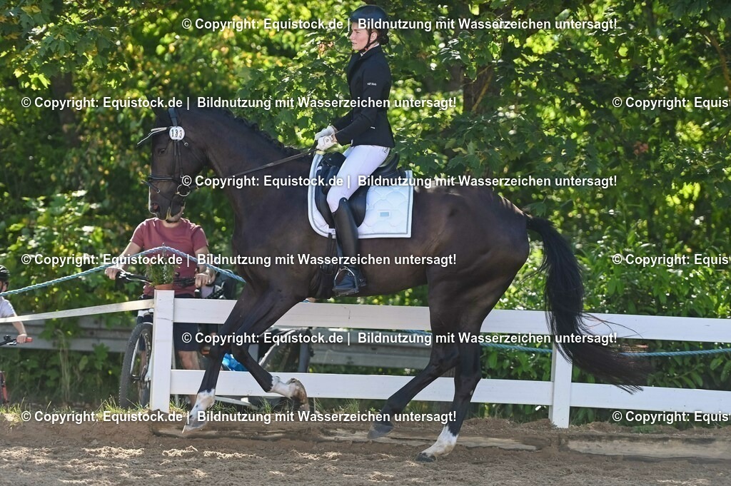 20230715_06_Dressurpferdeprfg. Kl.A_0380 | equistock