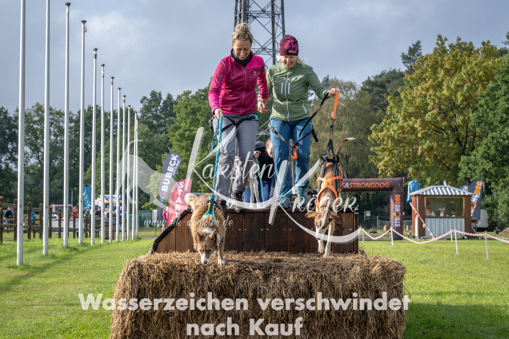 1419-94729 | kk-dogfotos