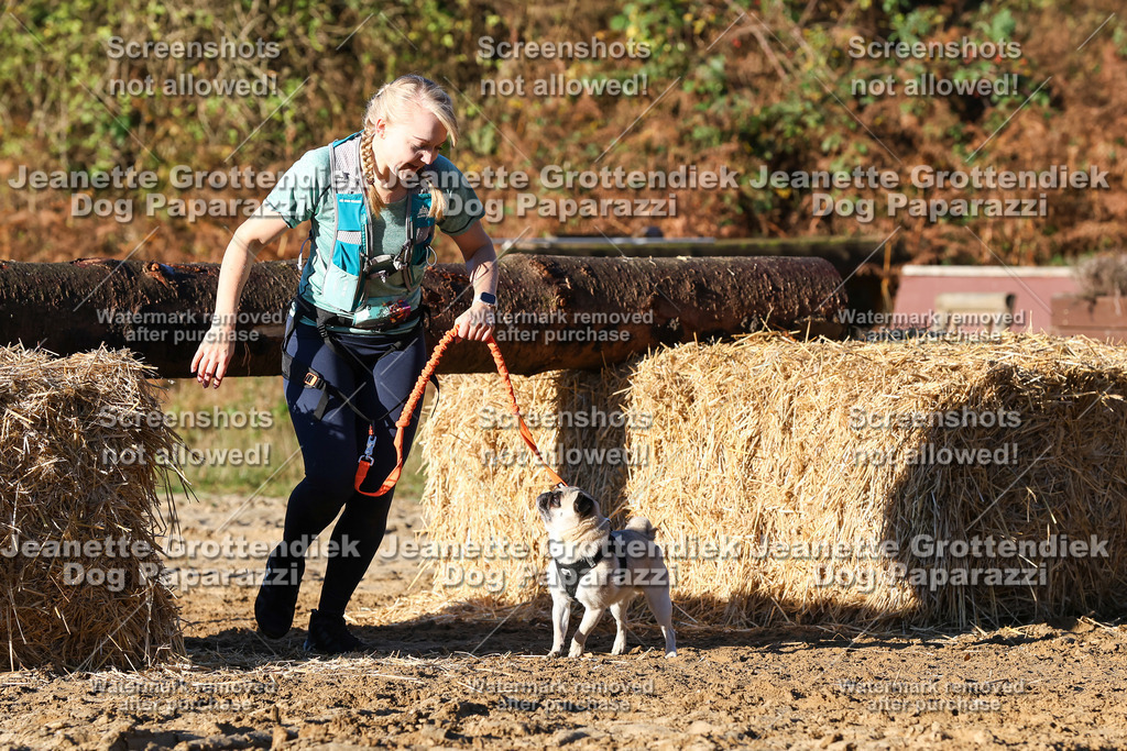 Dog Paparazzi - Strongdog 10-25-1232 | Dog Paparazzi Jeanette Grottendiek Fotografie & Videografie - Realisiert mit Pictrs.com