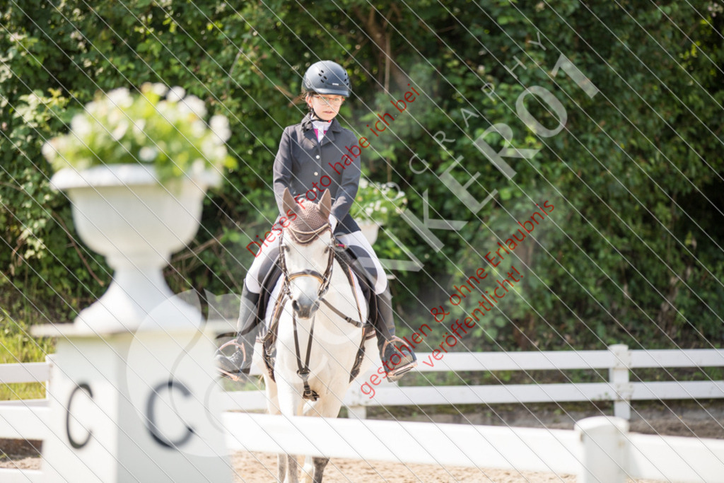 IMG_3258 | Sport-, Event- und Tierfotos in Profiqualität. Einfach auswählen, bestellen und herunterladen. Dein Moment – perfekt festgehalten.