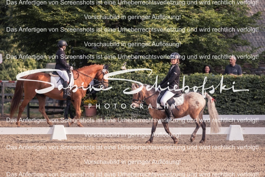 2025_05_31_DSCF2576 | People- und Tierfotografie, Imageaufnahmen, Veranstaltungsfotografie und Wandbilder aus der Natur ★ Made in Germany ✔️ Druck + Downloads ✔️ Naturfotografie in Top Qualität ★ schneller Versand, weltweite Lieferung! - Realisiert mit Pictrs.com