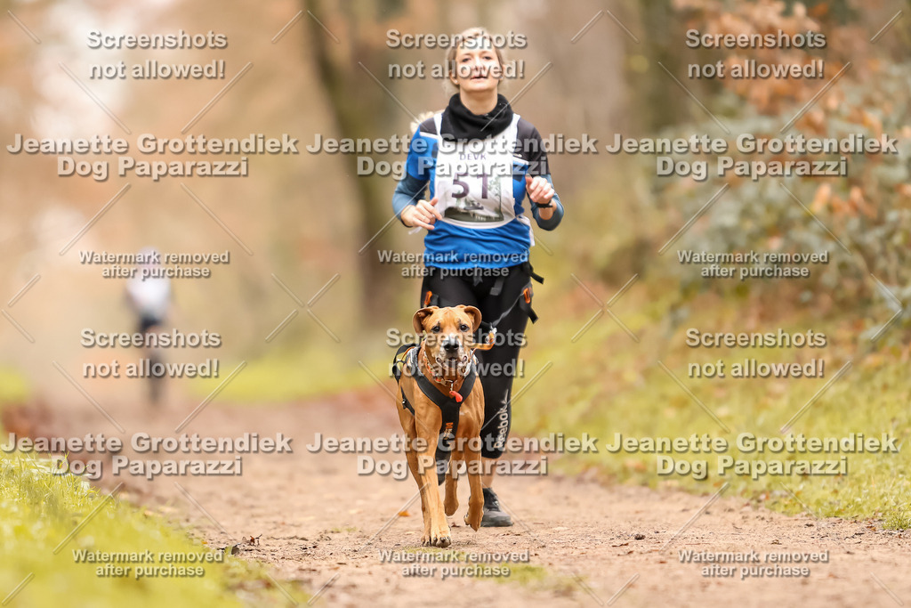 Dog Paparazzi - Speedhunter Mannheim  2025-139 | Dog Paparazzi Jeanette Grottendiek Fotografie & Videografie