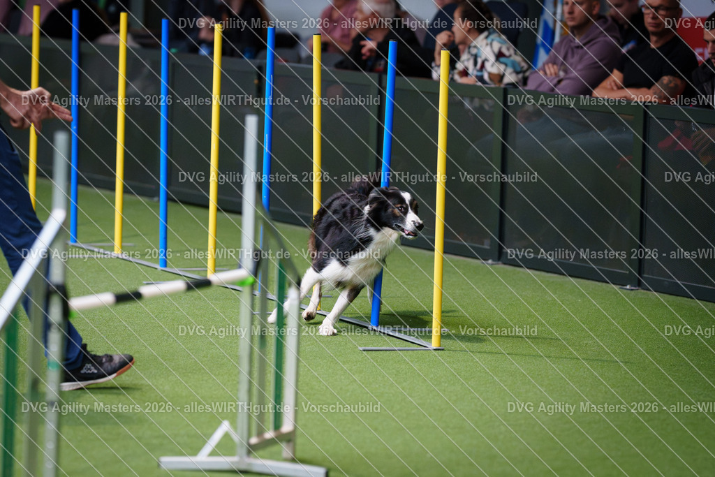 allesWIRTHgut_Tierfotografie-DVG_Agility_Masters_2026-09_53-7R502968 | Professionelle Tierfotografie in Mönchengladbach von Daniel Wirth (allesWIRTHgut). Liebevolle & natürliche Bilder von Hunden & Katzen für unvergessliche Erinnerungen.