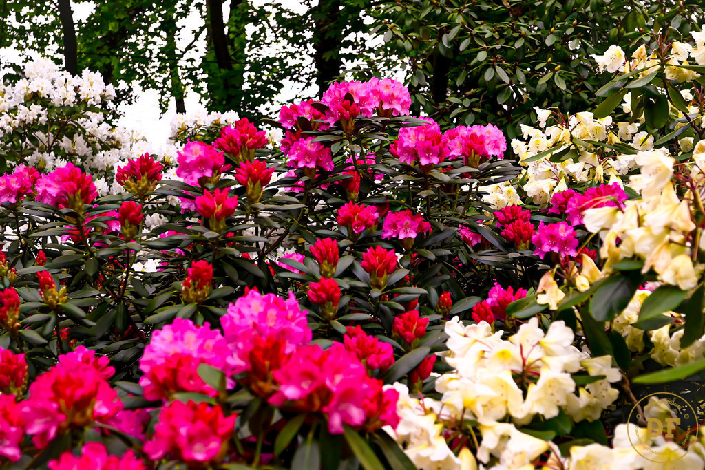 17_DSC8266 | Geschenke, Wandbilder und Accessoires mit Motiven aus Dresden und anderen schönen Orten zur Verschönerung Deines zu Hauses und zum verschenken gewünscht? Wähle Deine Lieblingsbild auf dem Produkt Deiner Wahl. 