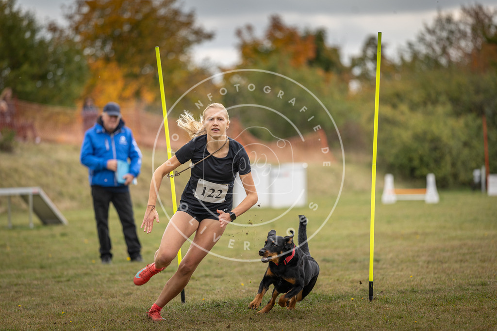 Pfotenfotografie_DV3A7722 | Hundefotografie, Tierfotograf, Pfotenfotografie, Fotoshooting Hund, Hunde Portrait, Hundesport, Hundeportraits, Heideshooting, Hunde, Sportfotograf, Hundefotograf, Turnierhundsport, THS,  - Realisiert mit Pictrs.com