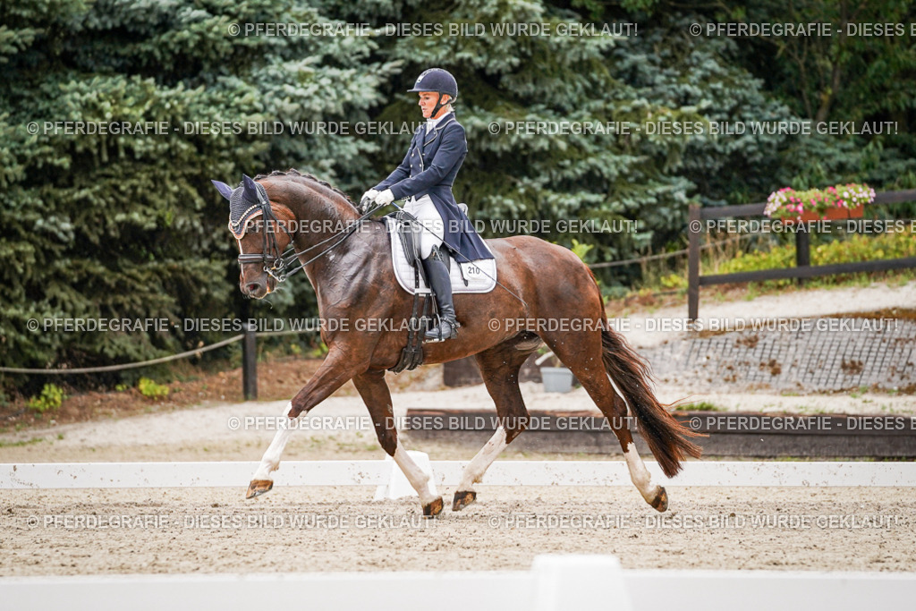 DSC07774 | Pferdegrafie