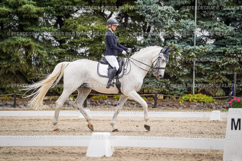 DSC02825 | Pferdegrafie