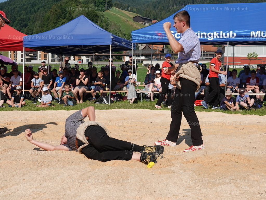 DSC04771 | Schwingen - Realisiert mit Pictrs.com