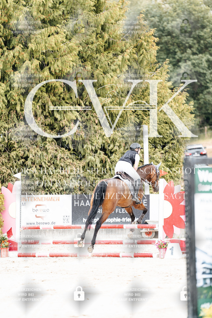 CK908013 | Turnierfotografie Pferdefotografie Trier Rheinland-Pfalz Pferdesport Reitsport Tierfotografie Sportfotografie Pferdevideo Pferdevideografie Equestrianvideography equestrianphotography  - Realisiert mit Pictrs.com