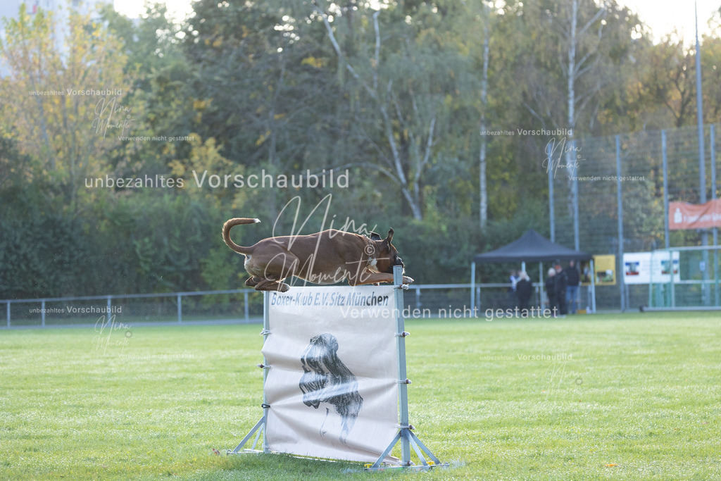 _16A6232 | Einzigartige Fotos von Hunden & Menschen –Actionfotos, Portraits, Vereinsaufnahmen & Paarshootings – authentisch, lebendig & mit Herz.