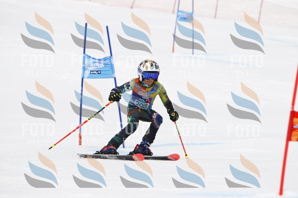 _U3G7593 | holidayphoto