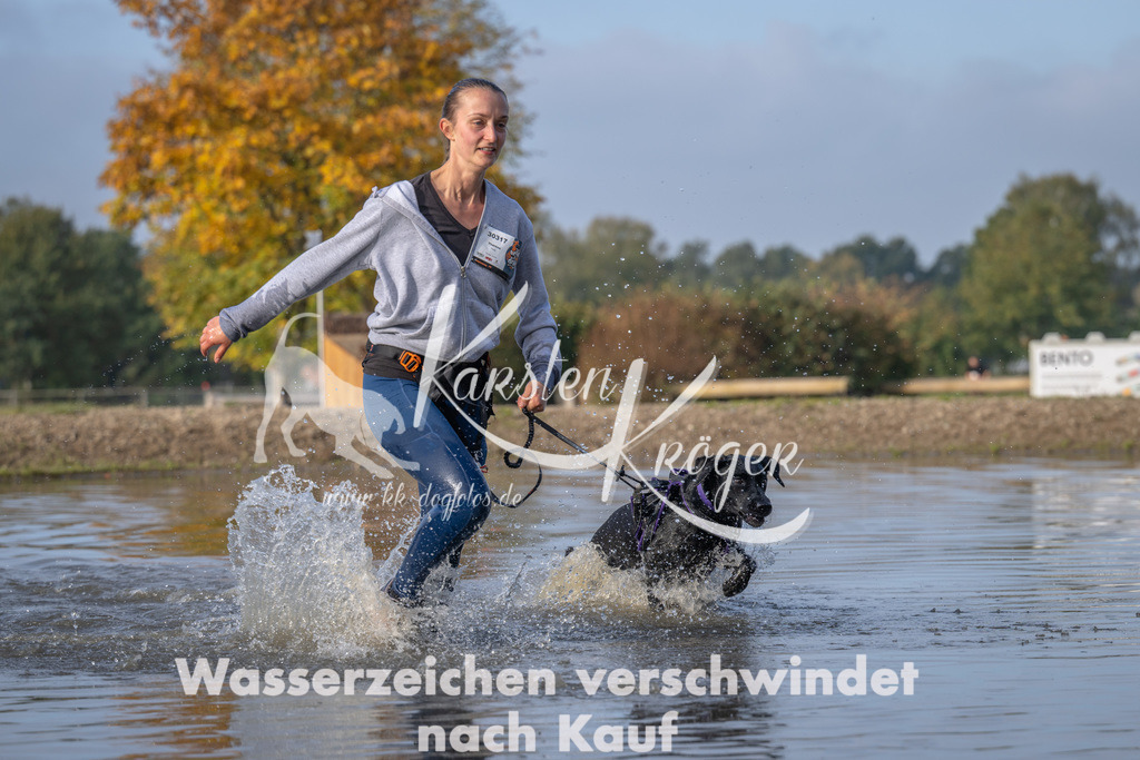 1016_ZZ92587 | kk-dogfotos