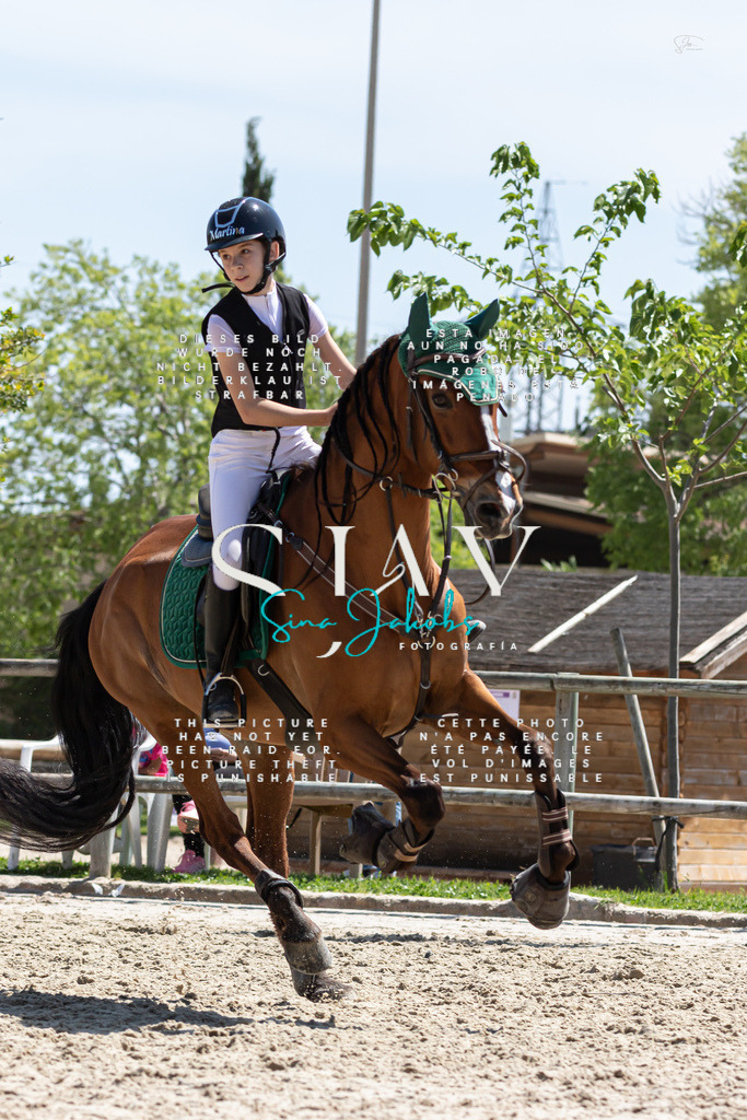 IMG_0519 | s-jay-photography - Realisiert mit Pictrs.com