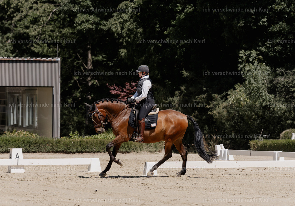 WE_DR_80_SinaFilmArt_IN03407 | working equitationturnier fotograf videograf stoibphotography marixx film working equitation deutschland reitsport turnierfotografie eventfotografie equestrian events