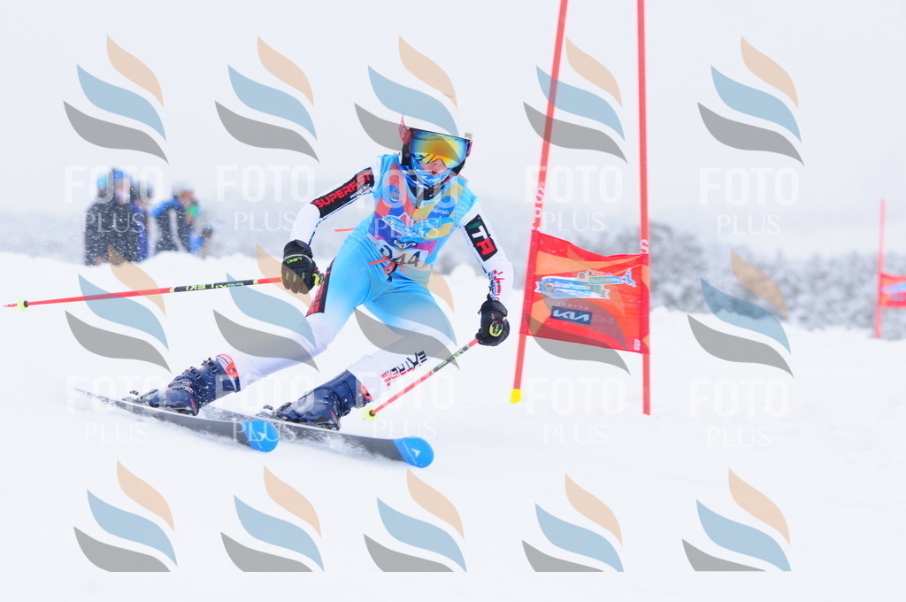 C3691 | holidayphoto